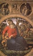 Luca Signorelli The Madonna and the Nino with prophets oil painting reproduction